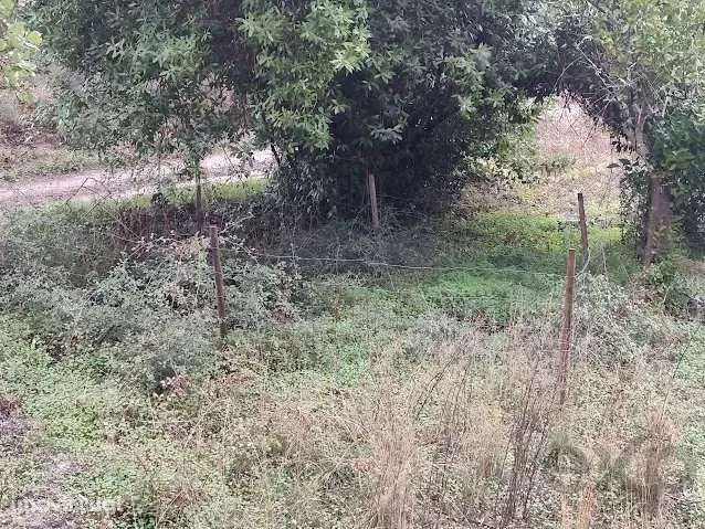 Terreno Rústico 3000m² em Comenda, Portugal - Grande imagem: 3/6