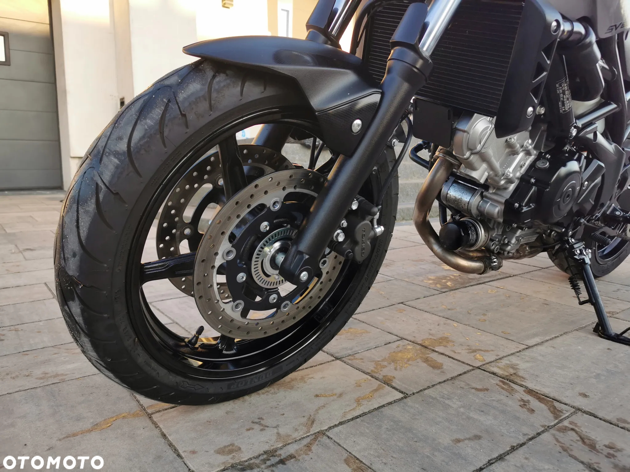 Suzuki SV - 12