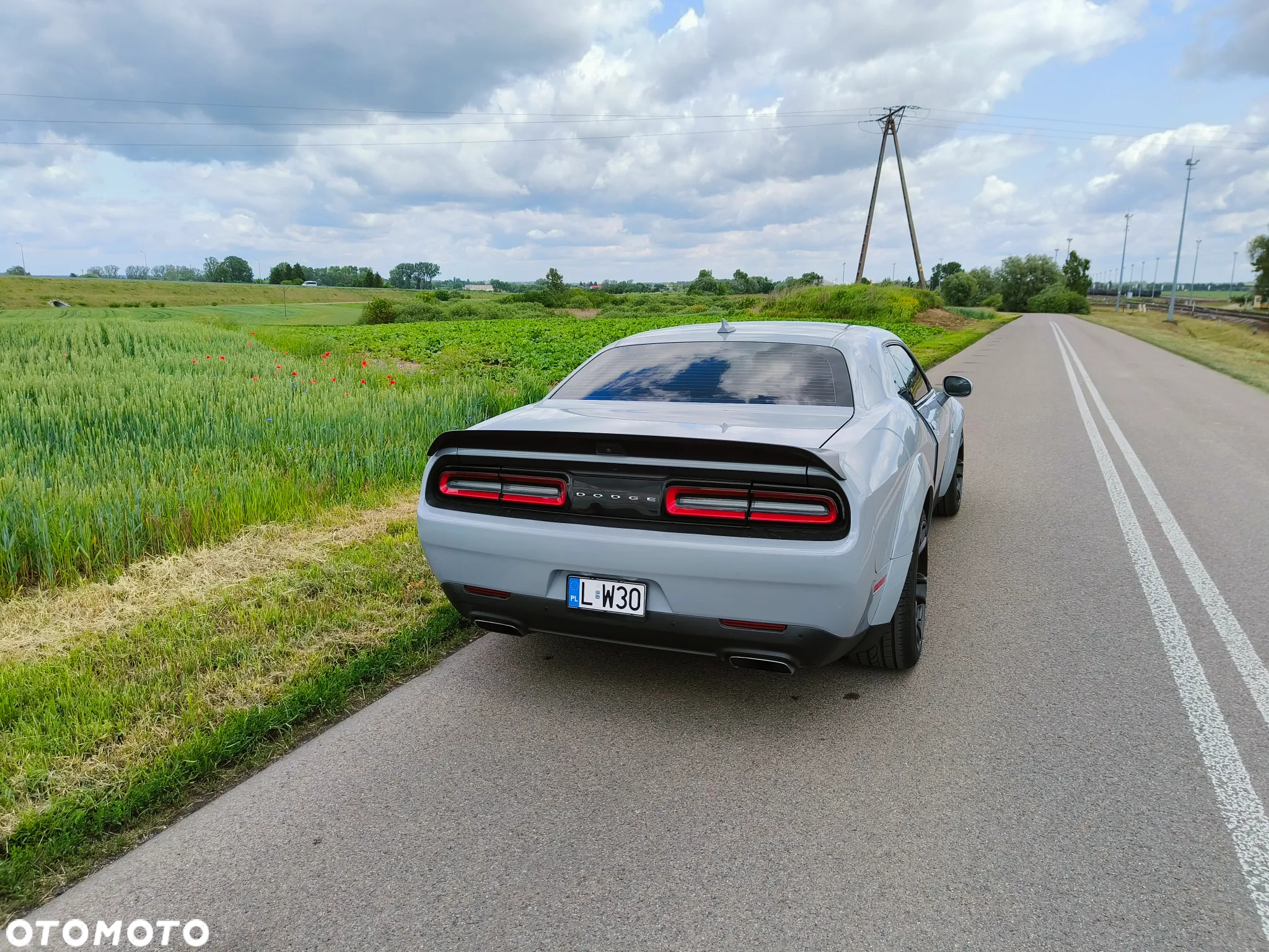 Dodge Challenger 6.4 Scat Pack Widebody - 18