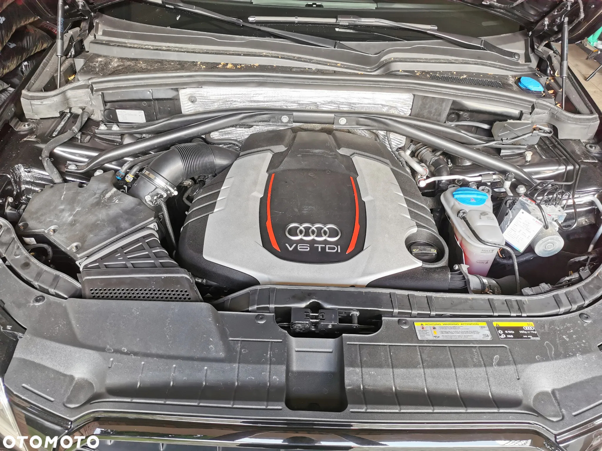 Audi SQ5 3.0 TDI Plus Quattro Tiptr - 14
