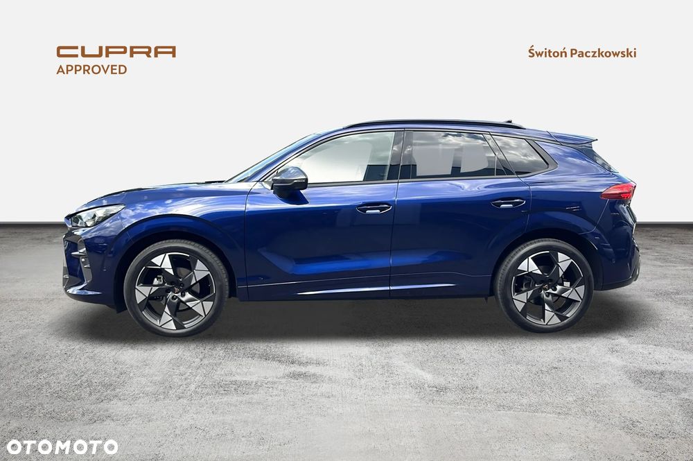 Cupra Terramar - 2