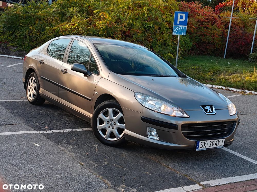 Peugeot 407 2006 photo 4