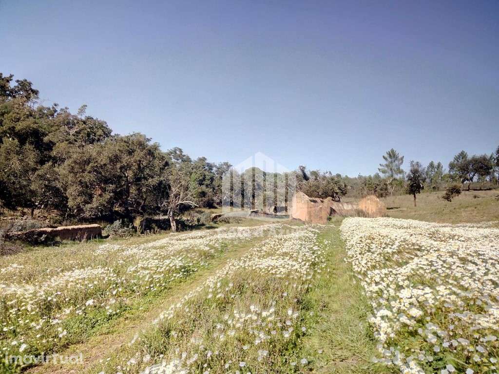 Propriedade no Alentejo - Grande imagem: 3/16