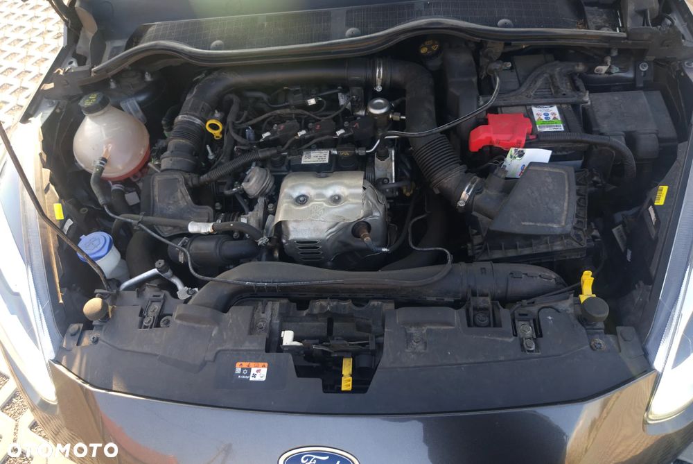 Ford Fiesta Vignale 1.0 EcoBoost GPF ASS - 14