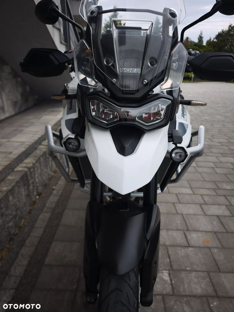 Triumph Tiger - 17