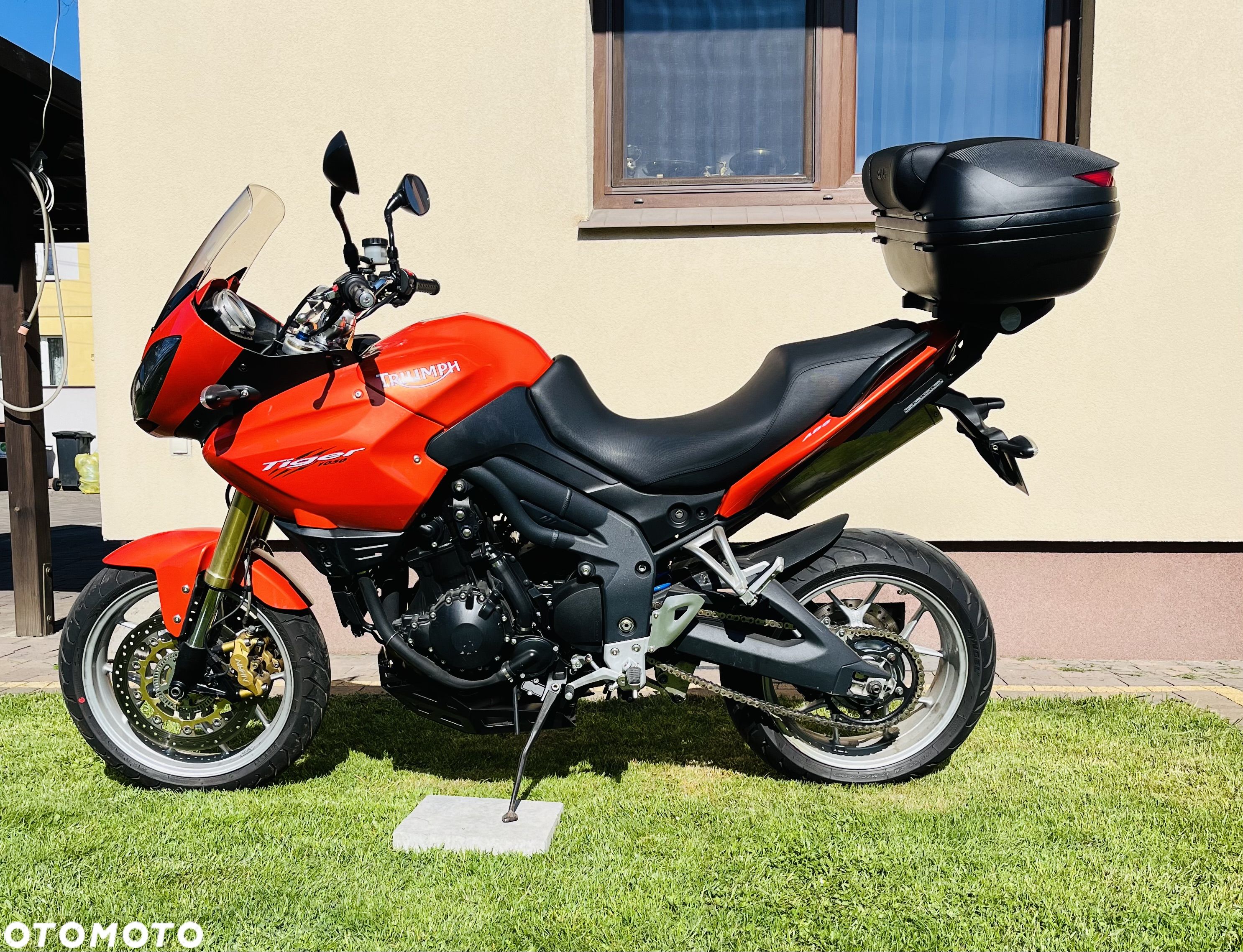 Triumph Tiger - 1