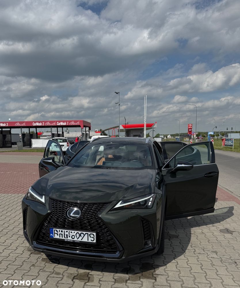 Lexus UX 250h F Sport 2WD - 14