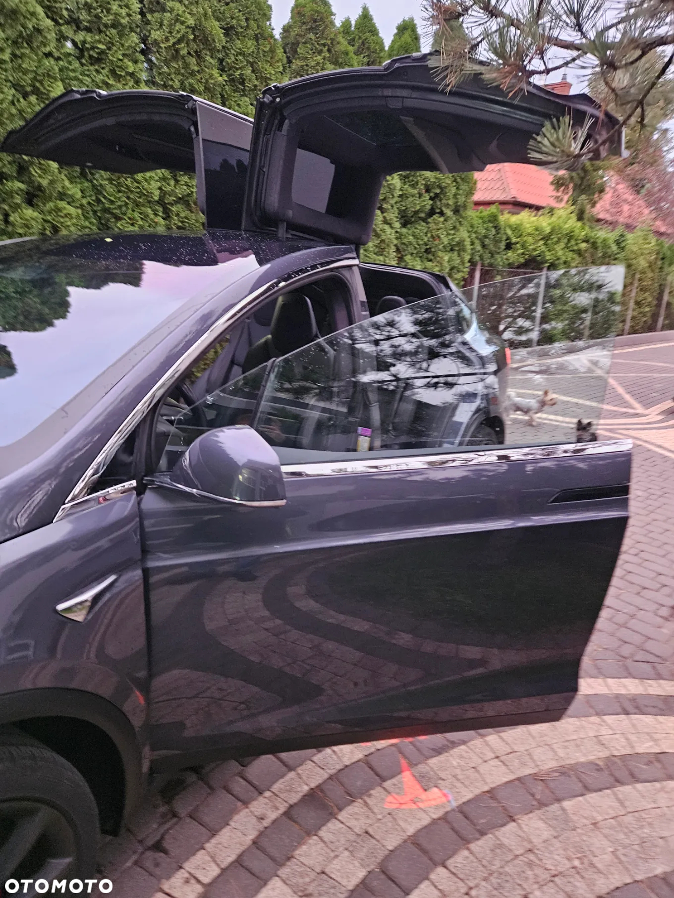 Tesla Model X P 100 D - 16