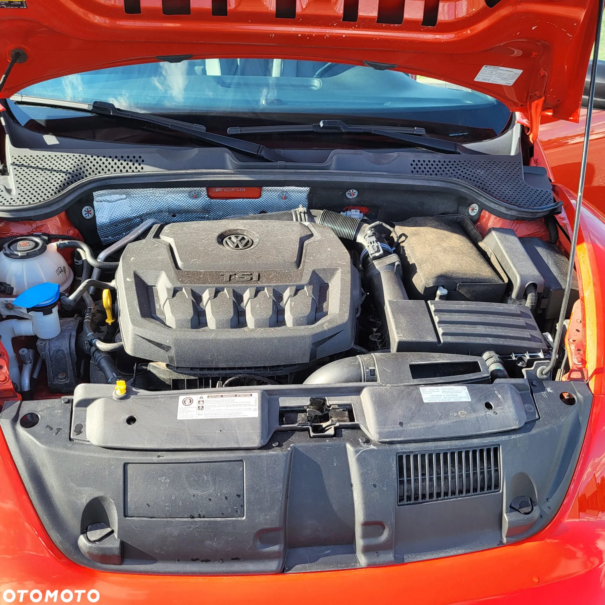 Volkswagen Beetle - 29