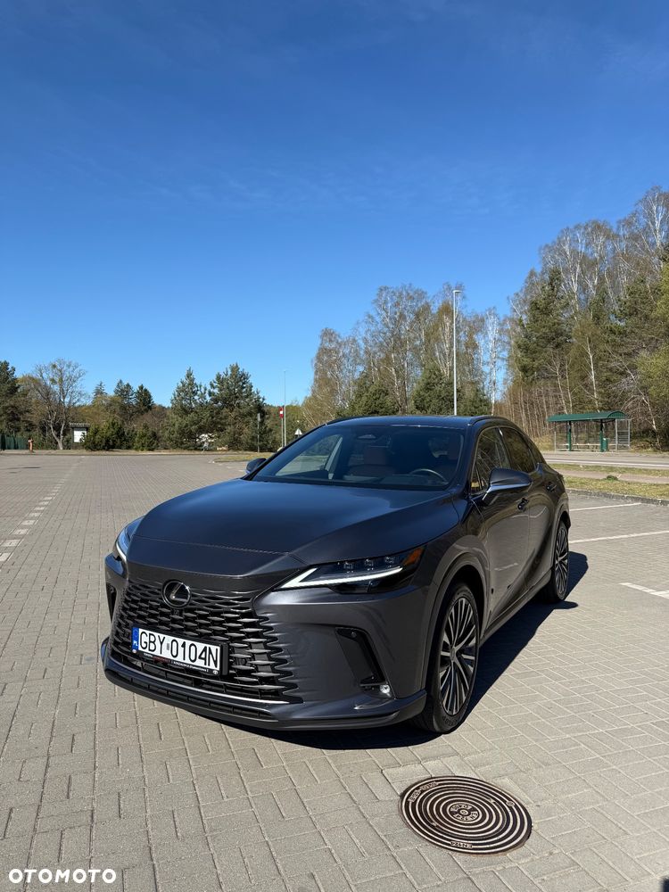 Lexus RX 300 Prestige - 11