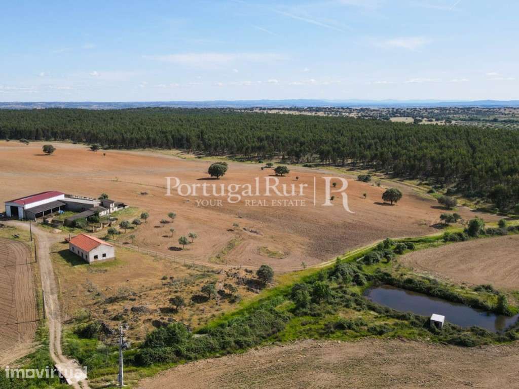 Herdade com 72 ha com possibilidade para regadio na região de Caste... - Grande imagem: 2/46
