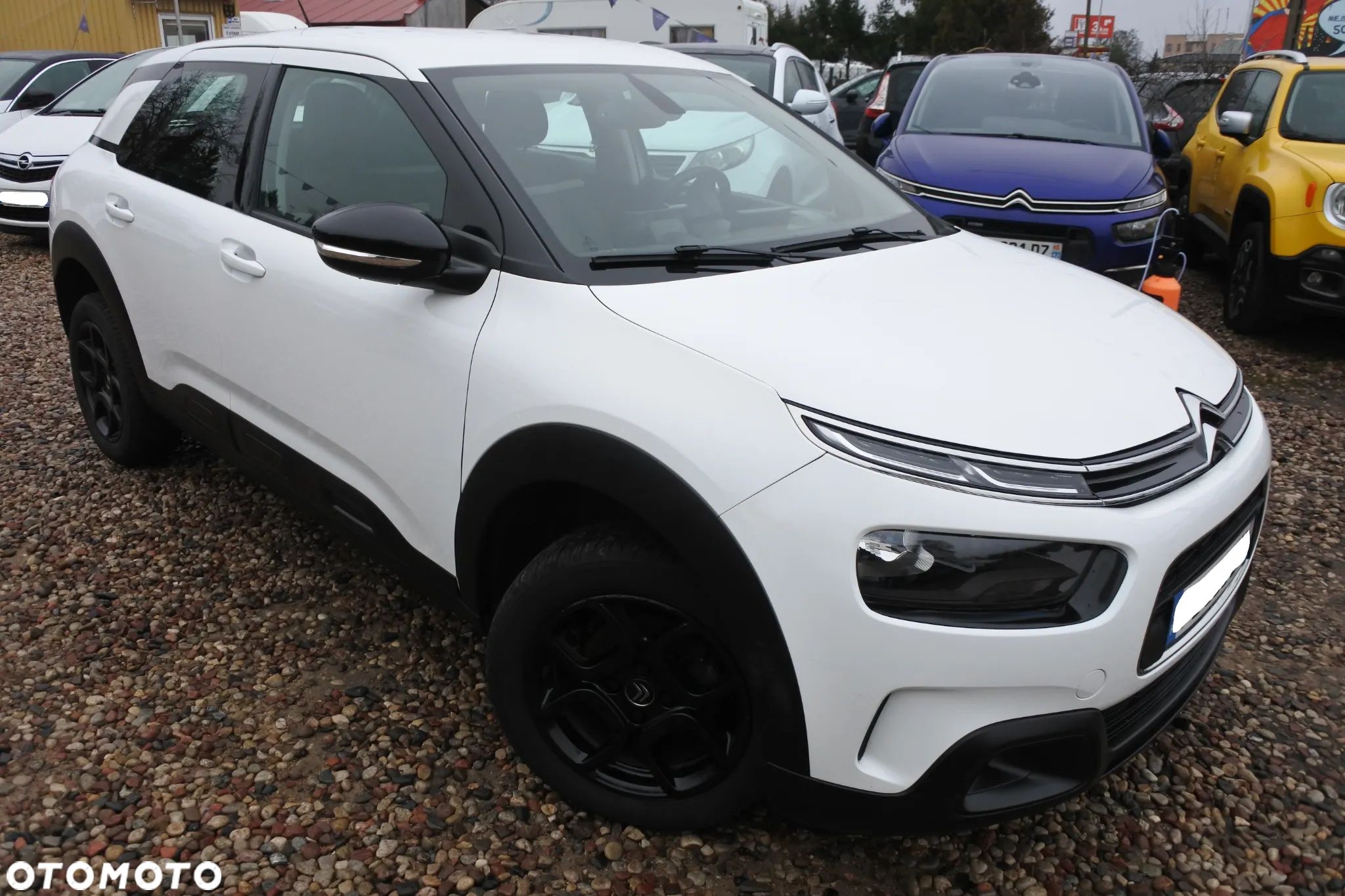 Citroën C4 Cactus Pure Tech 110 Stop&Start Shine - 1