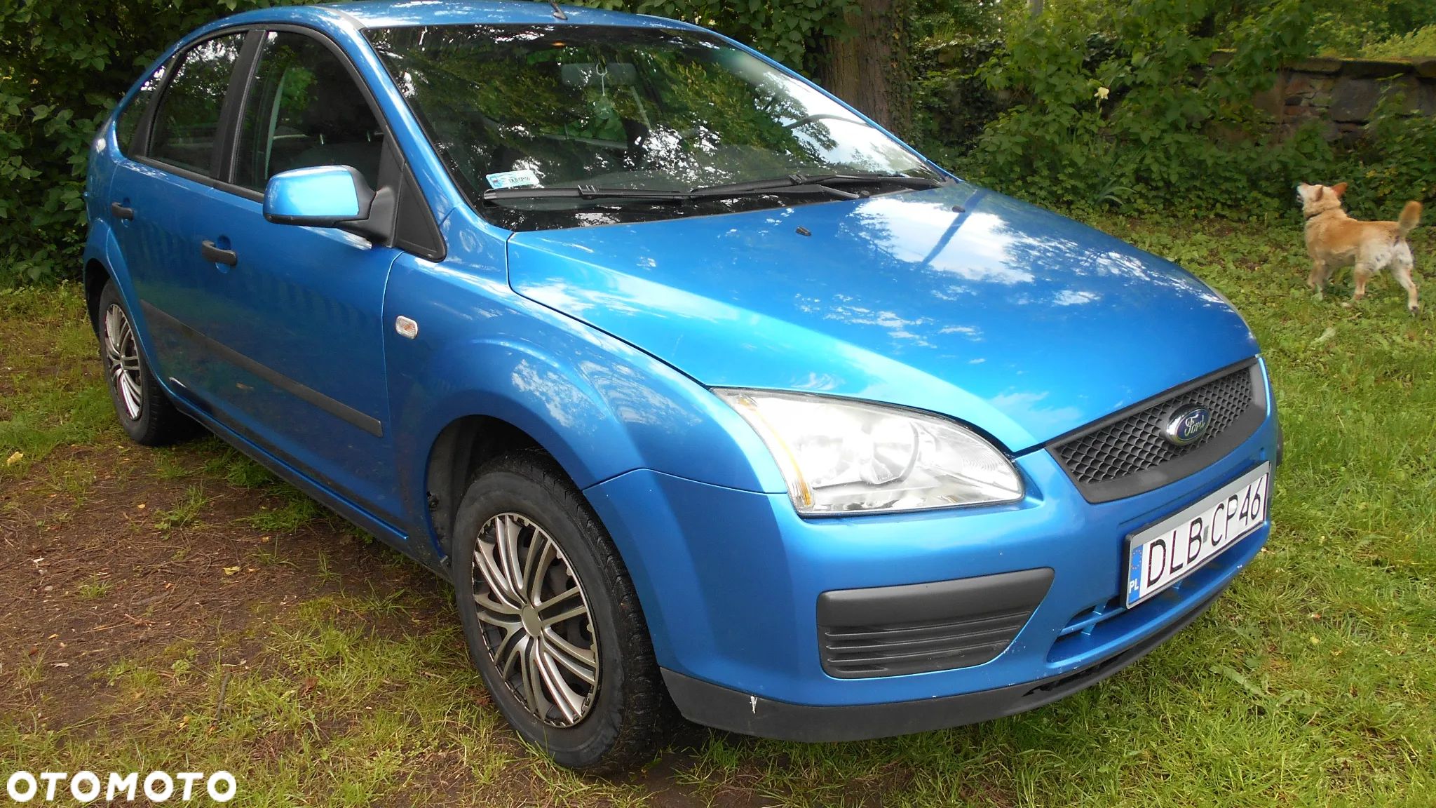 Ford Focus 1.6 Trend - 1