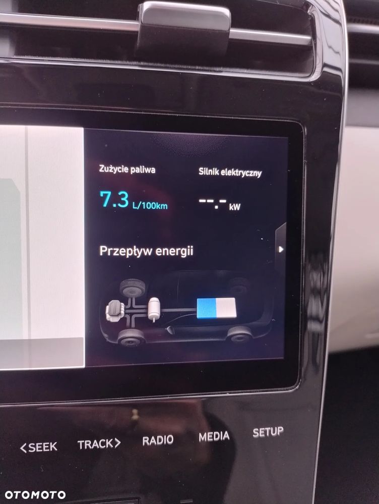 Hyundai Tucson 1.6 T-GDi HEV Platinum 4WD - 22