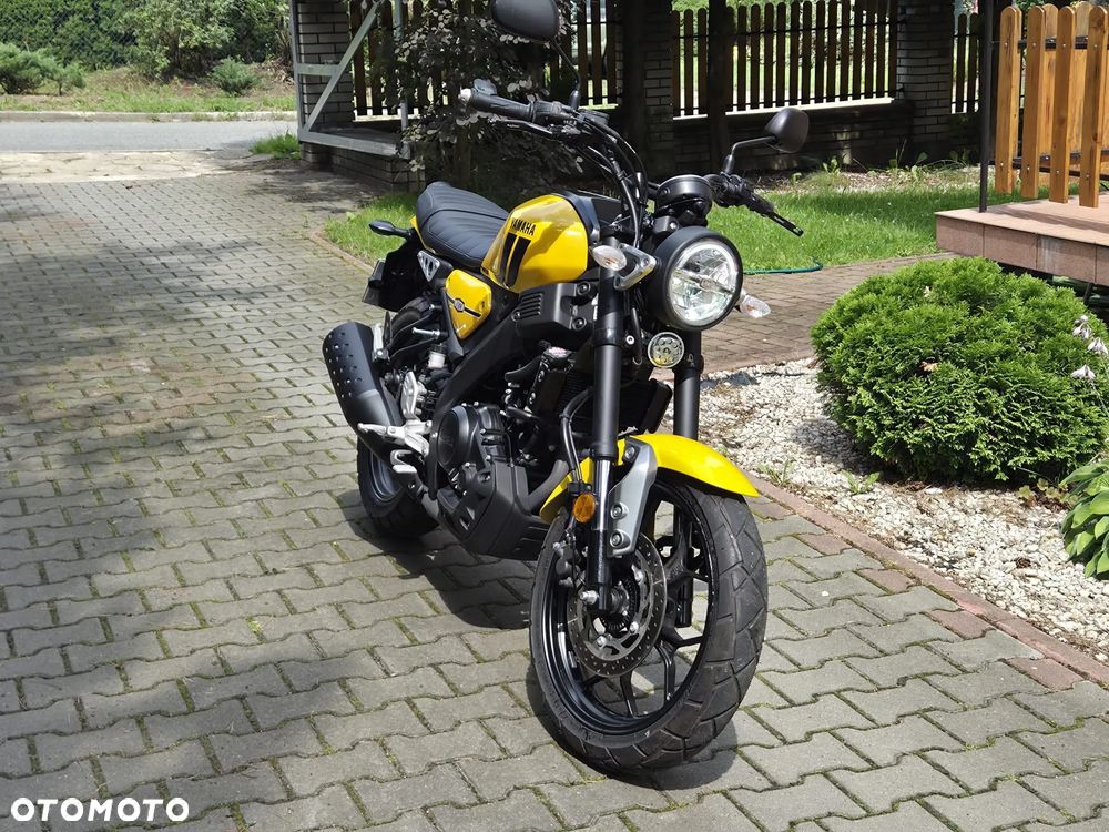 Yamaha XSR - 19