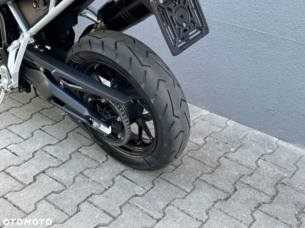 Triumph Tiger - 31