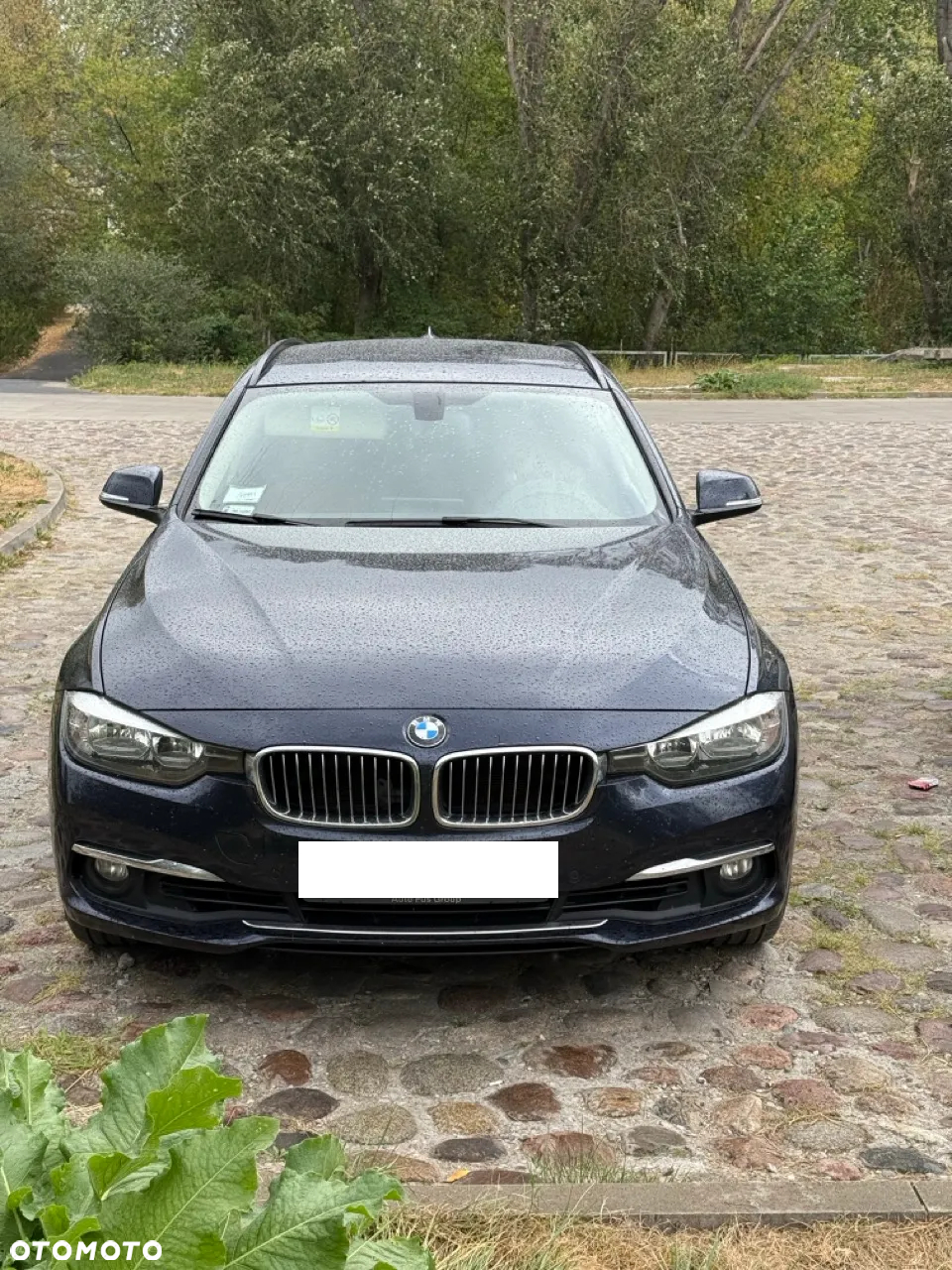 BMW Seria 3 320i xDrive Luxury Line - 2