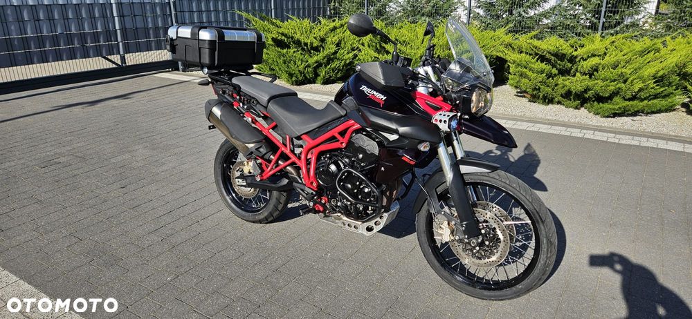 Triumph Tiger - 6
