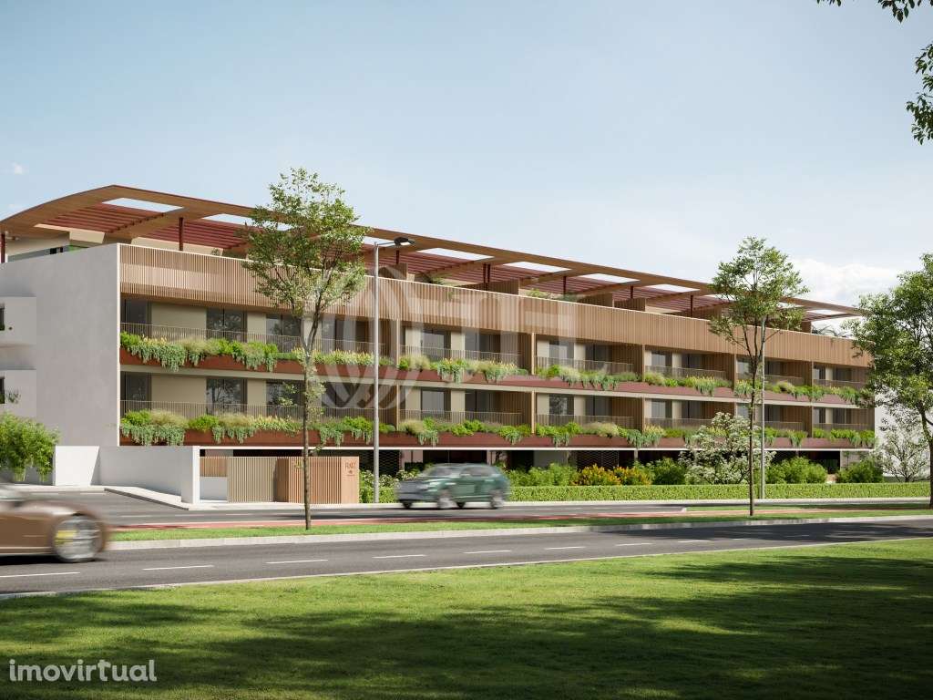 Raiz Porto - Grande imagem: 1/30