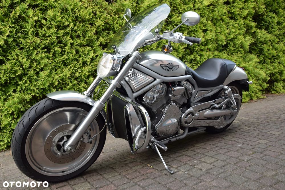 Harley-Davidson Softail V-Rod - 3