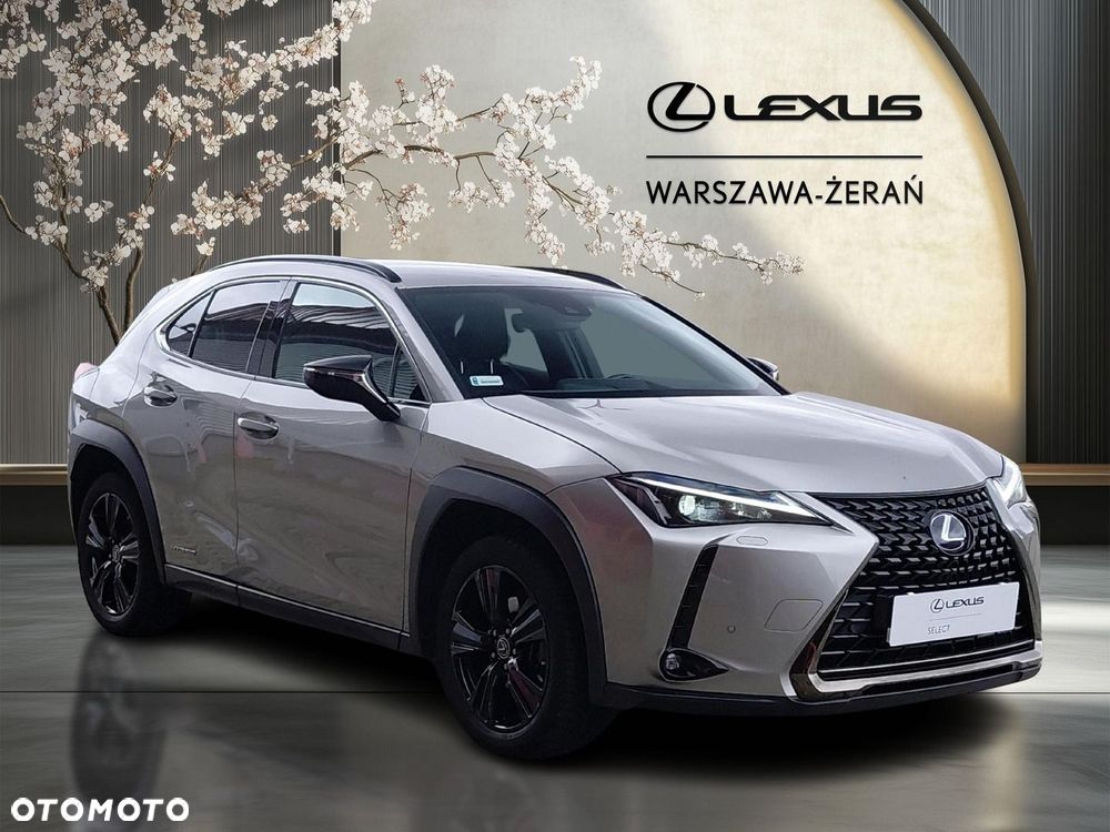 Lexus UX - 9
