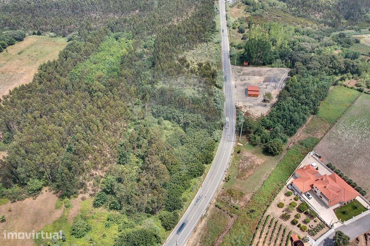 Terreno  para venda - Grande imagem: 5/5