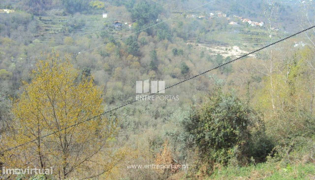 Venda Terreno, Ferreiros de Tendais, Cinfães - Grande imagem: 5/8