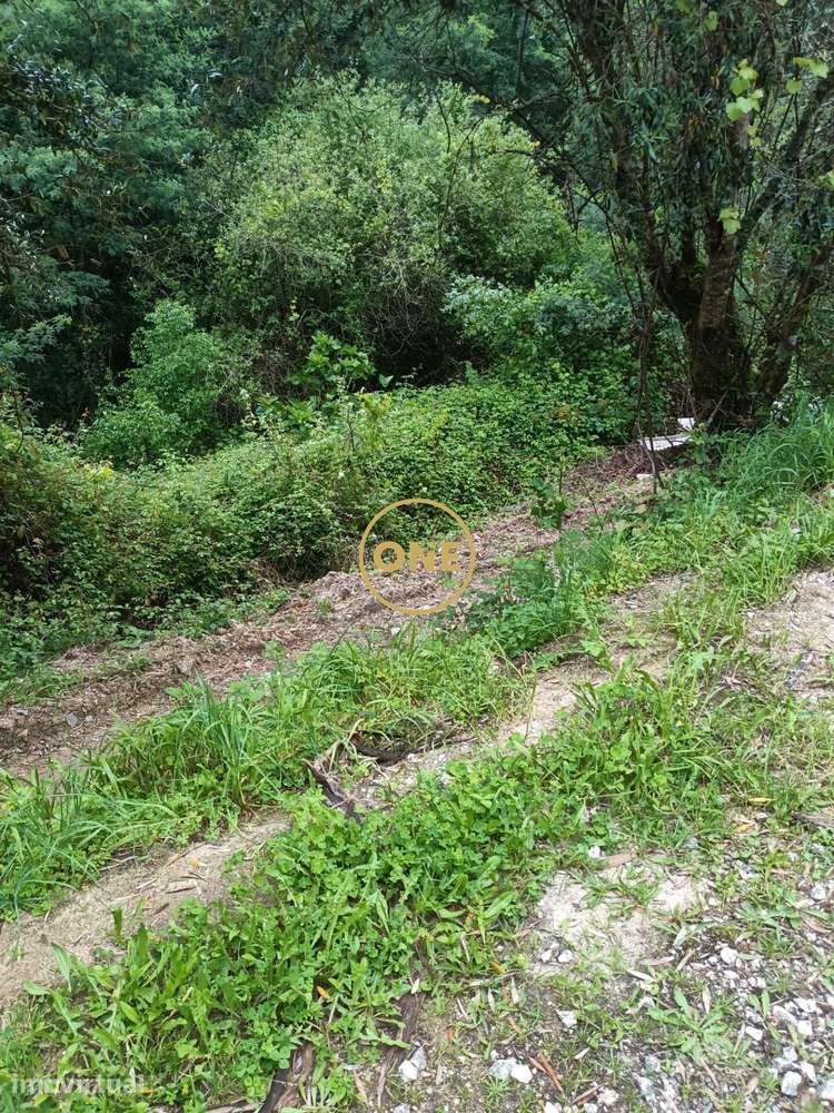 Terreno com Ruína 3380m2 junto Circular Externa - Grande imagem: 4/8