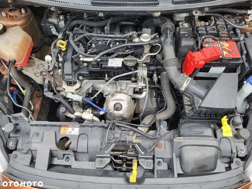 Ford Fiesta 1.0 EcoBoost Gold X - 24