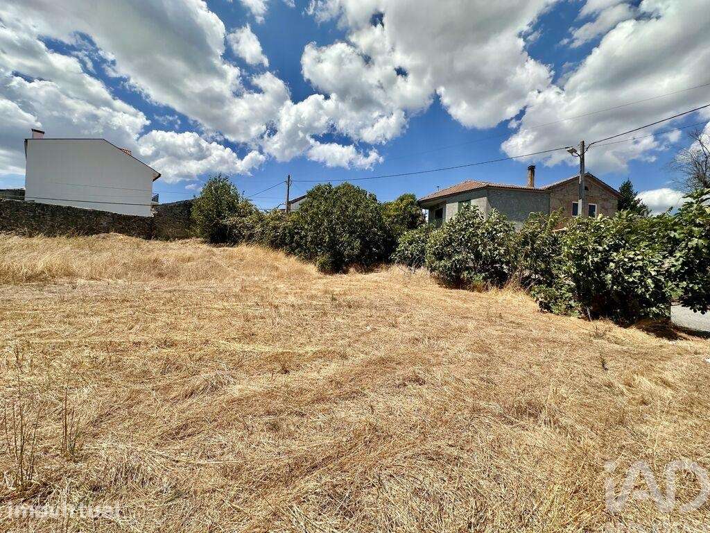 Terreno em Povolide - Grande imagem: 3/4