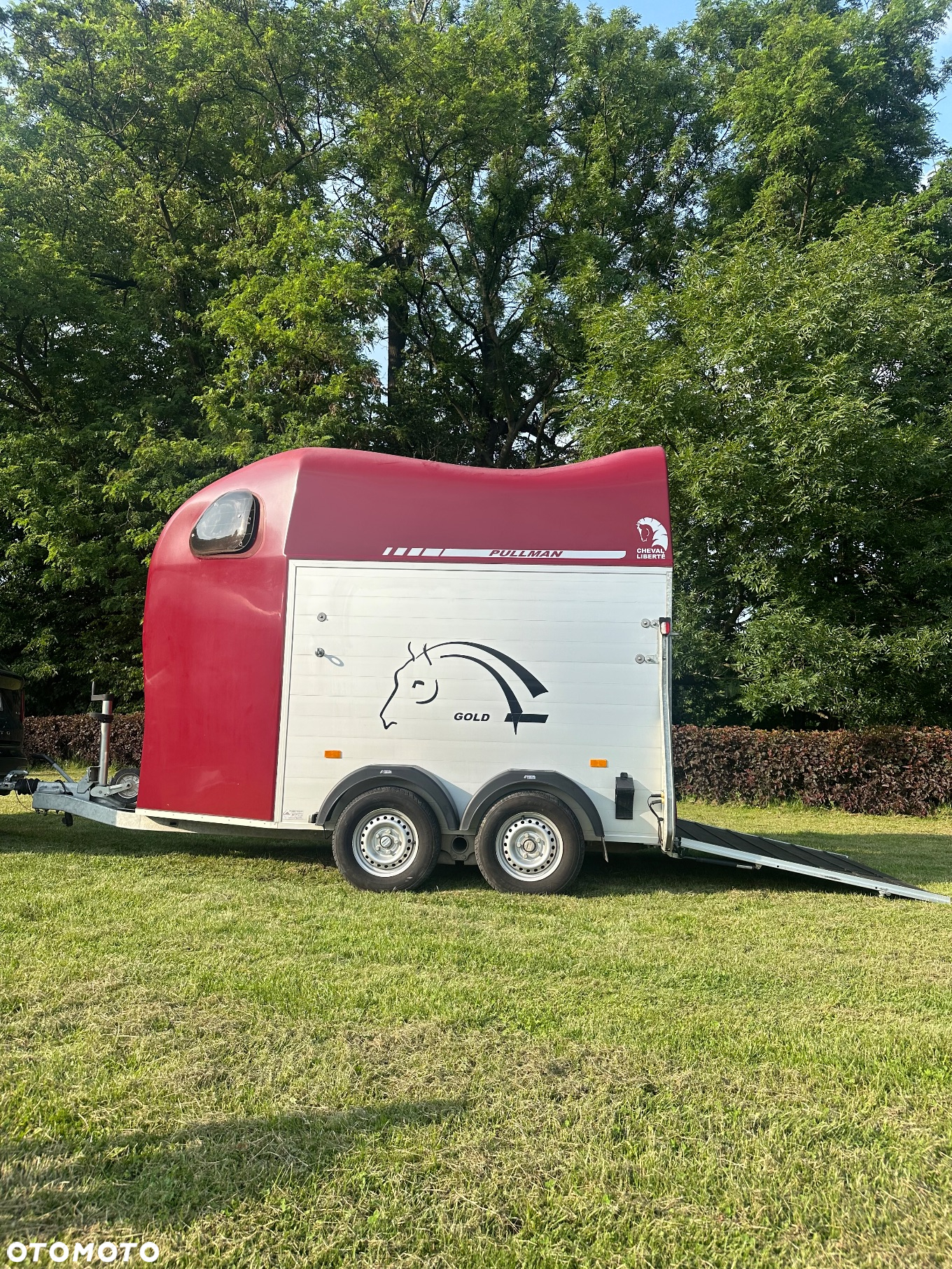 Cheval Liberte Gold Pulman V2 - 2
