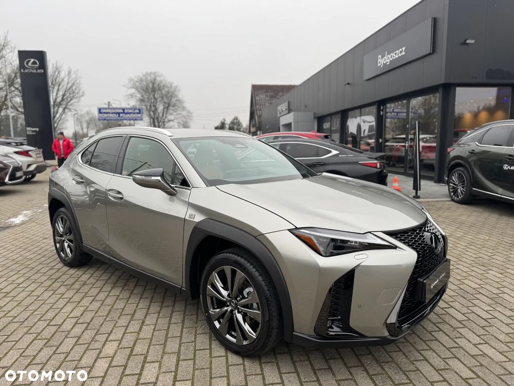 Lexus UX 300h F Sport Design - 11