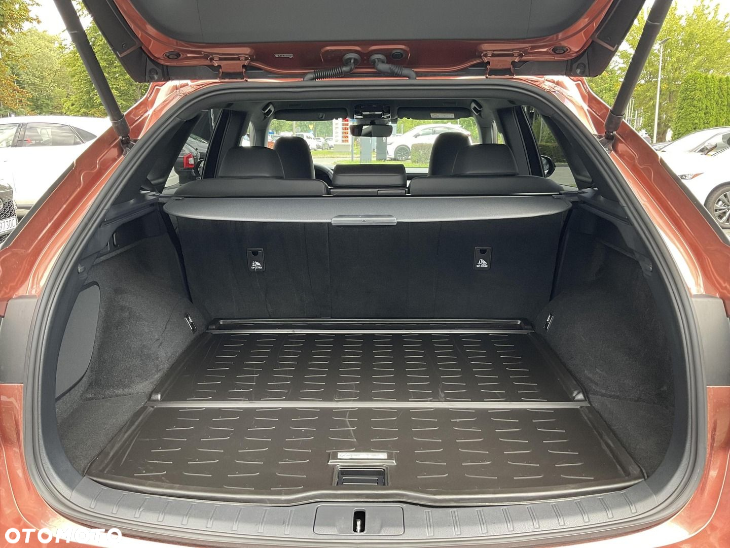 Lexus RX - 35