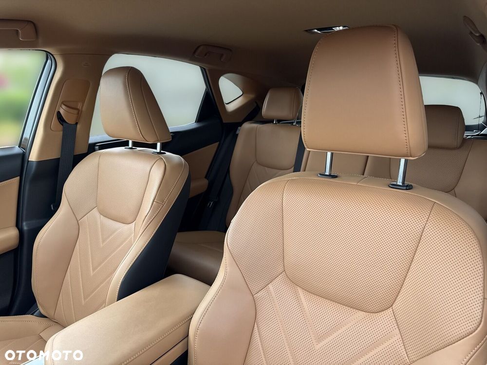 Lexus NX - 13
