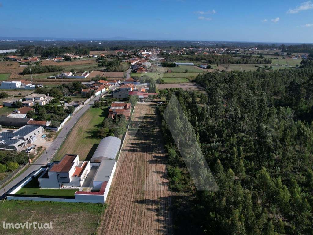 Terreno para construção de moradia a 10 minutos de Aveiro! - Grande imagem: 4/10