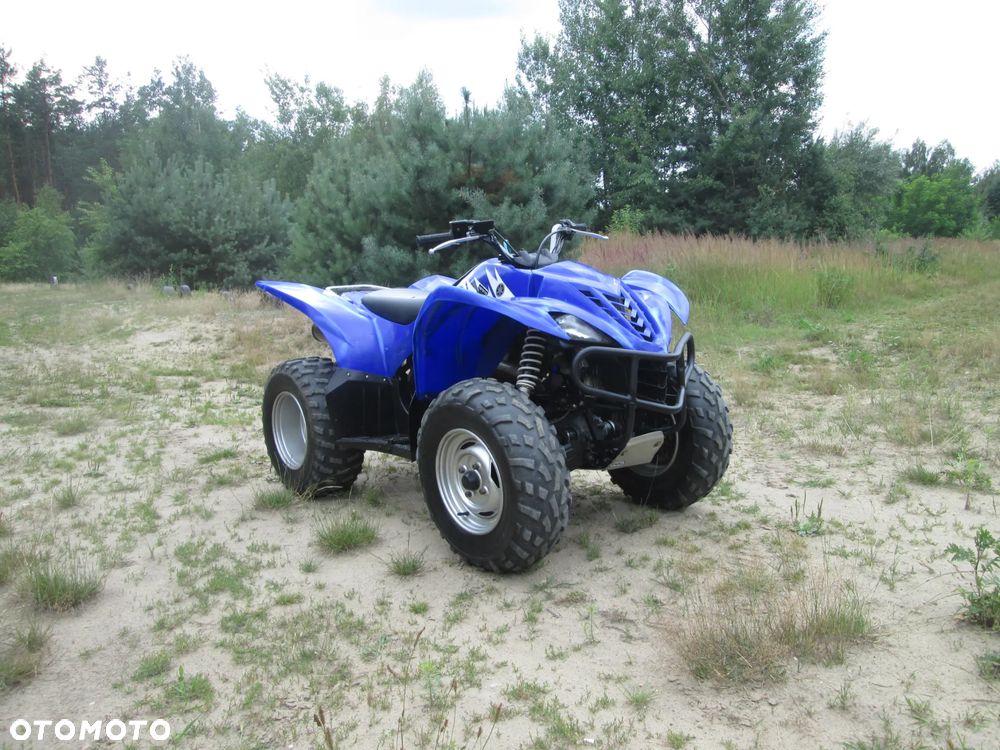 Yamaha Wolverine - 9