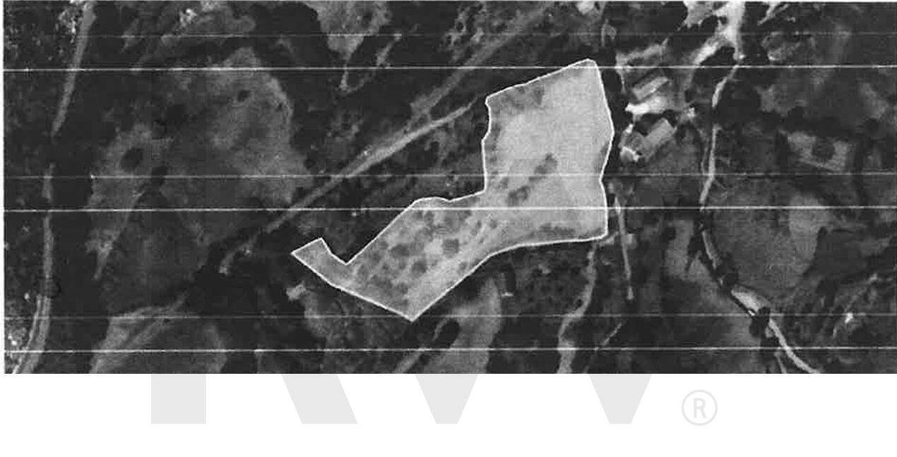 Terrenos Rústicos para Venda  com 4800 m2– Lugar de Asnela, Rio Douro - Grande imagem: 5/18