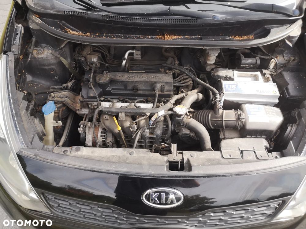 Kia Rio - 22
