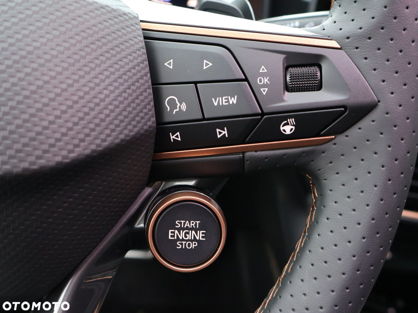 Cupra Formentor 1.5 eTSI mHEV DSG - 25