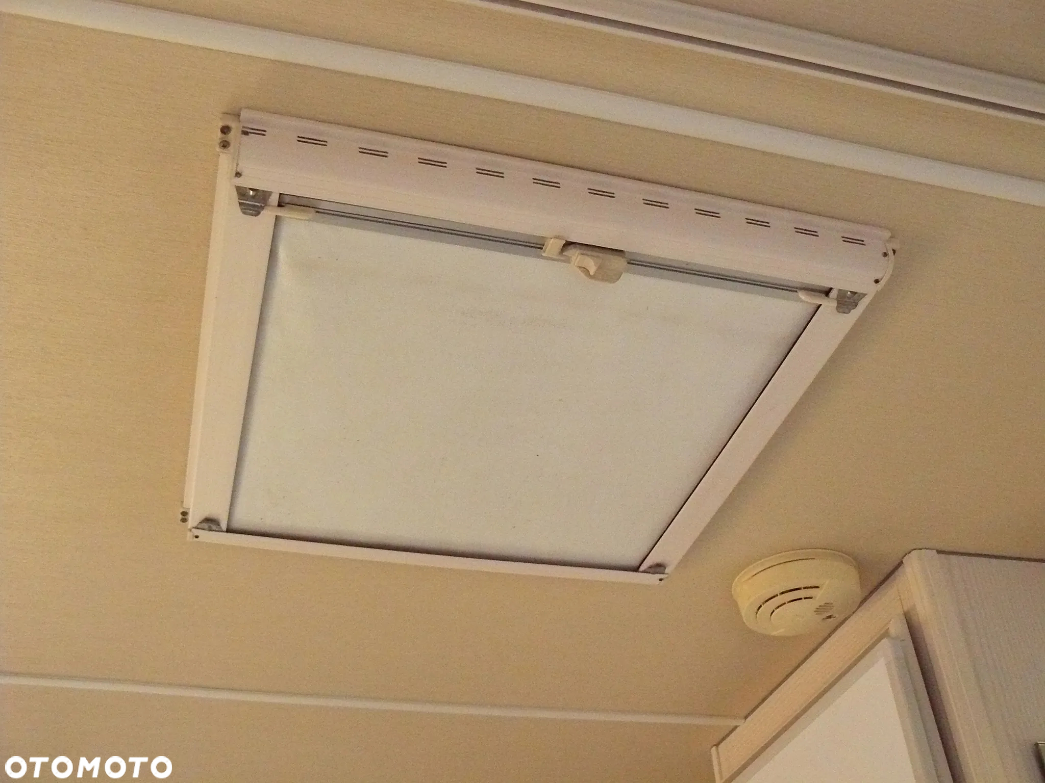 Avento Royal 445 E - 22