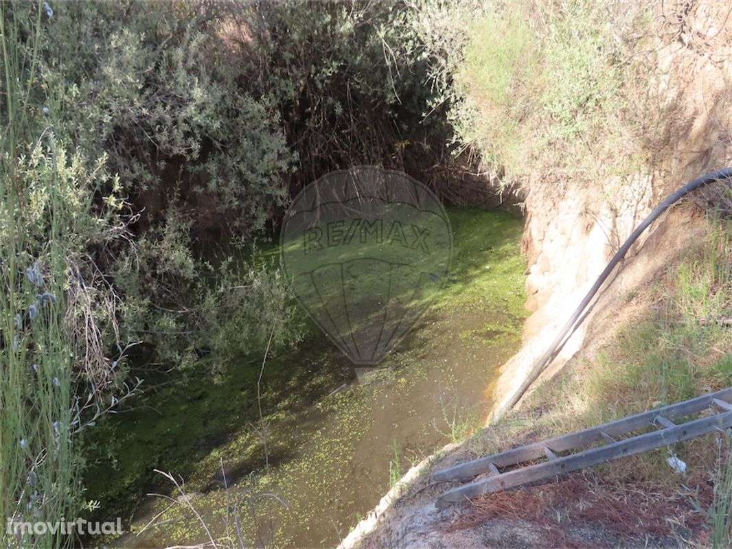 Quinta  para venda - Grande imagem: 4/25