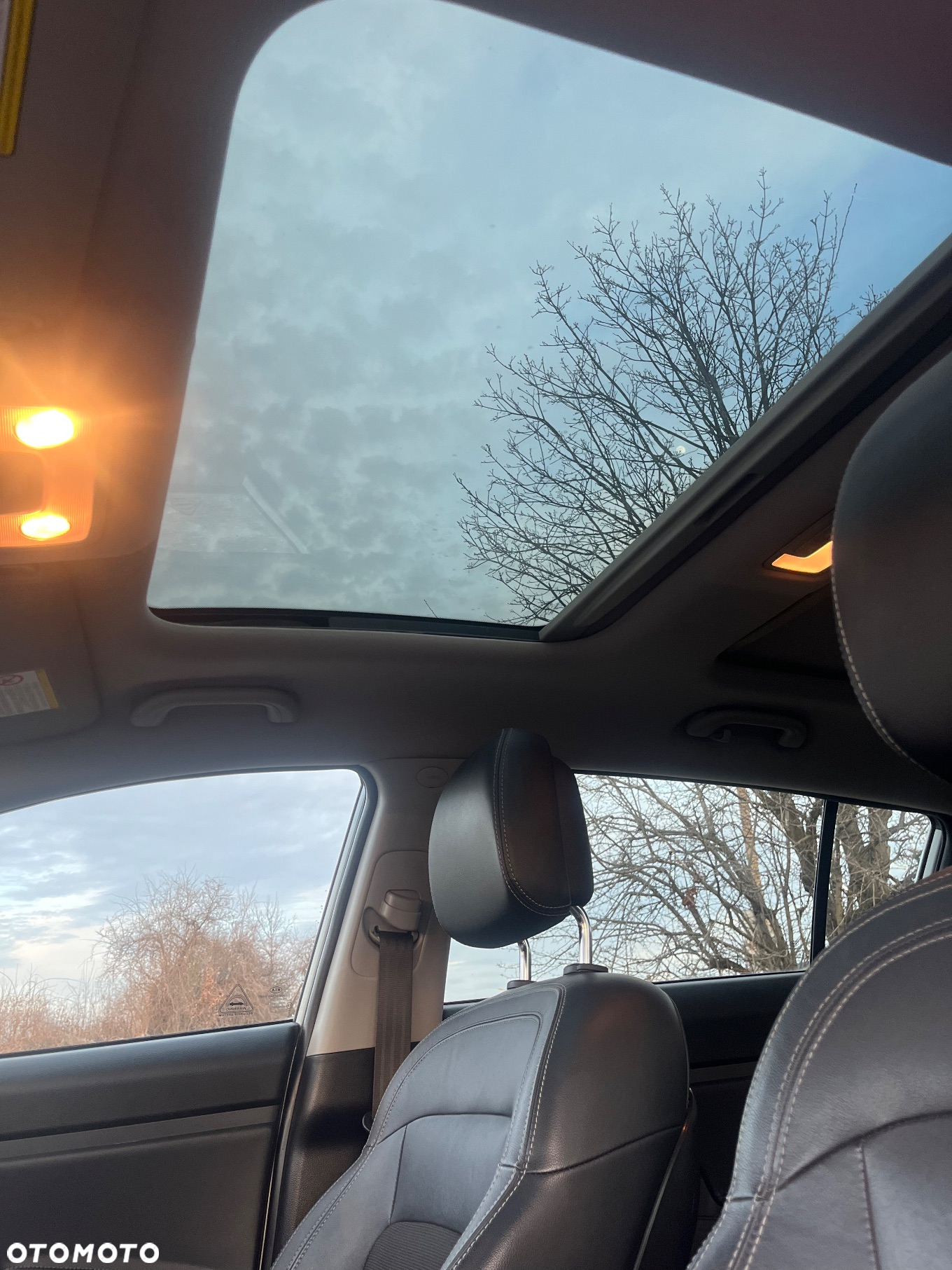 Kia Sportage - 11