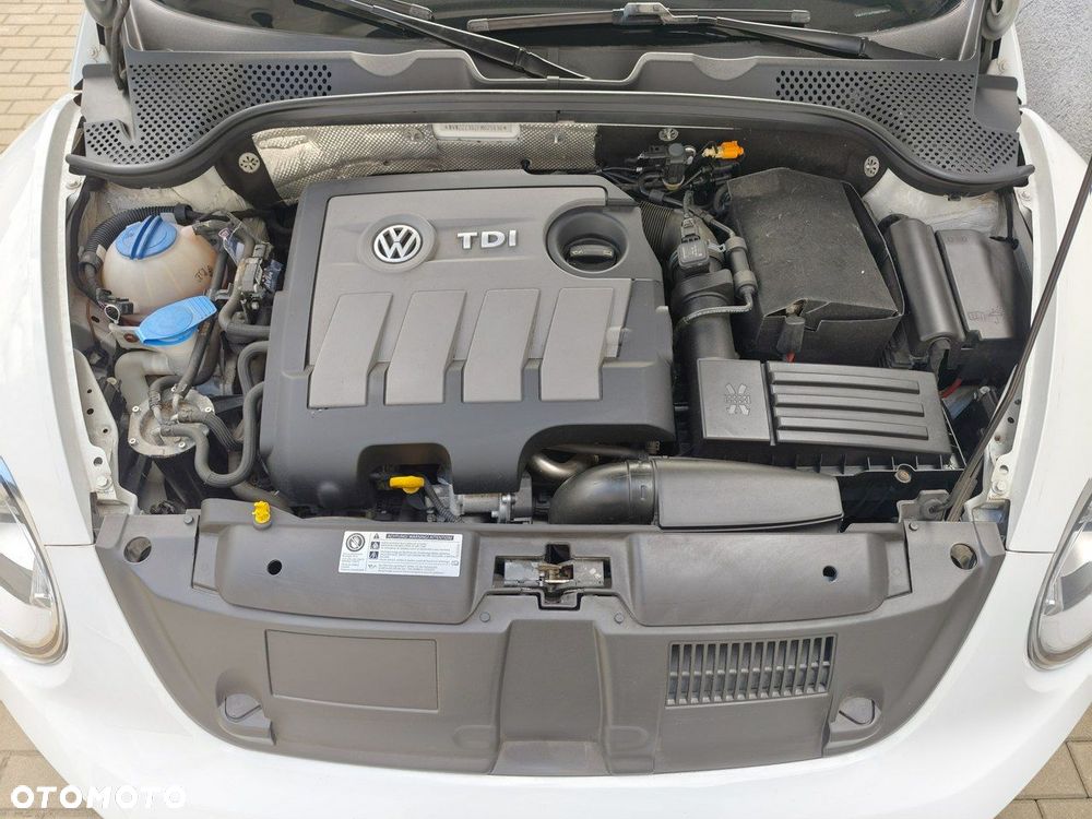Volkswagen Beetle - 33