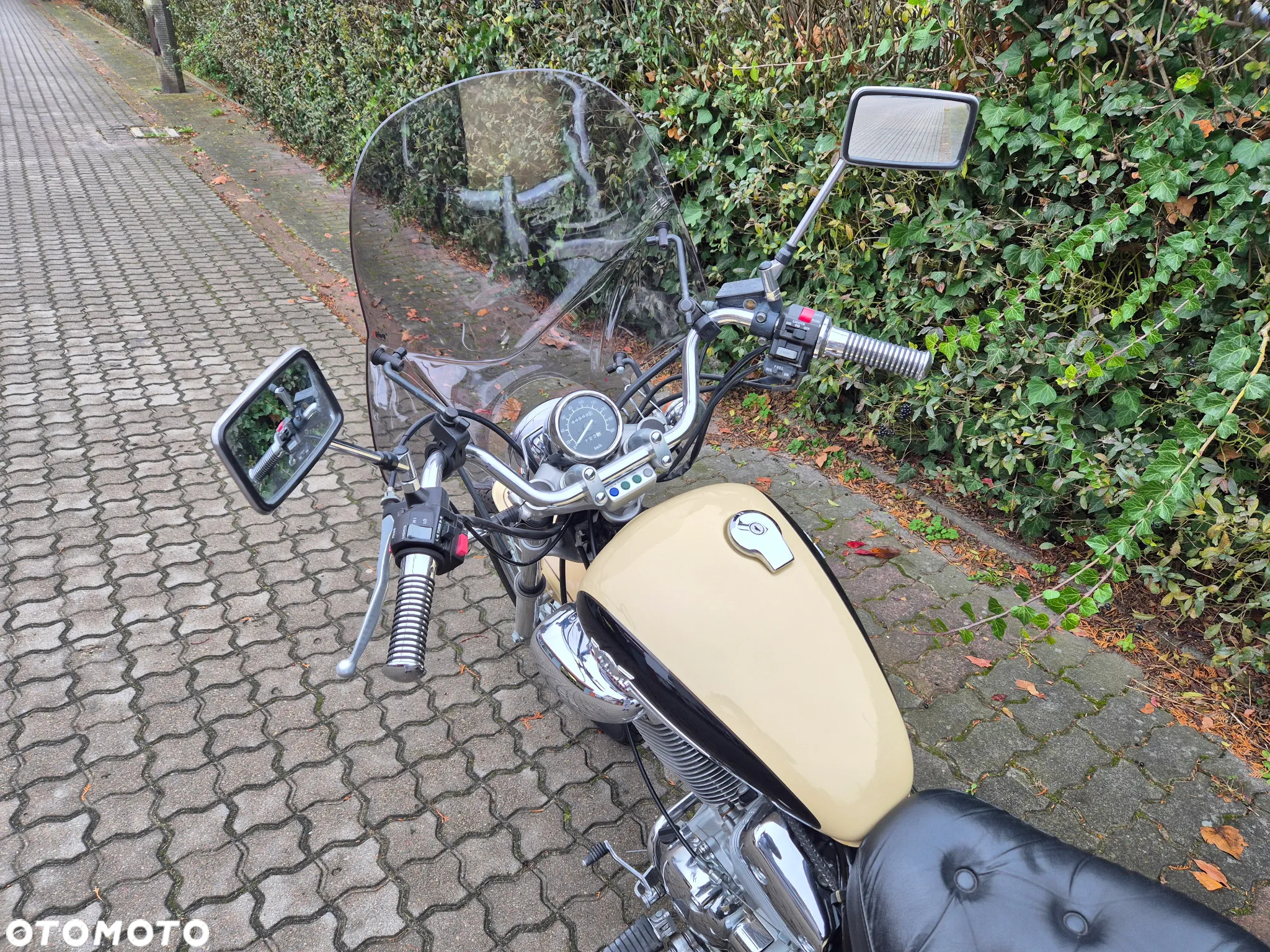 Yamaha Virago - 7
