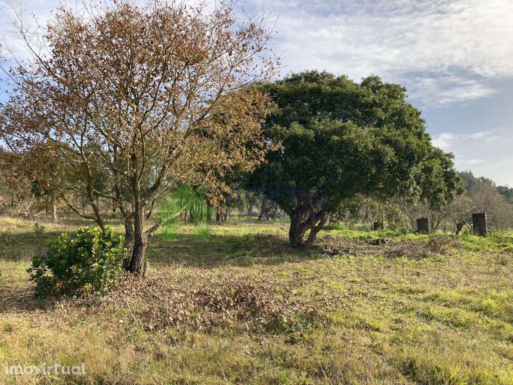TERRENO DELGADA - BOMBARRAL - Grande imagem: 2/9