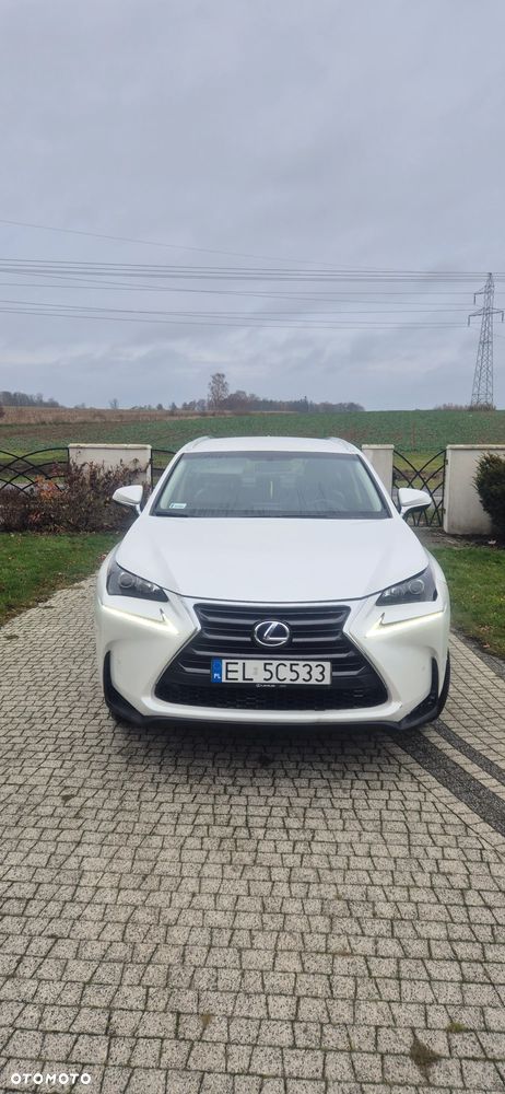 Lexus NX 300h Elite AWD - 4