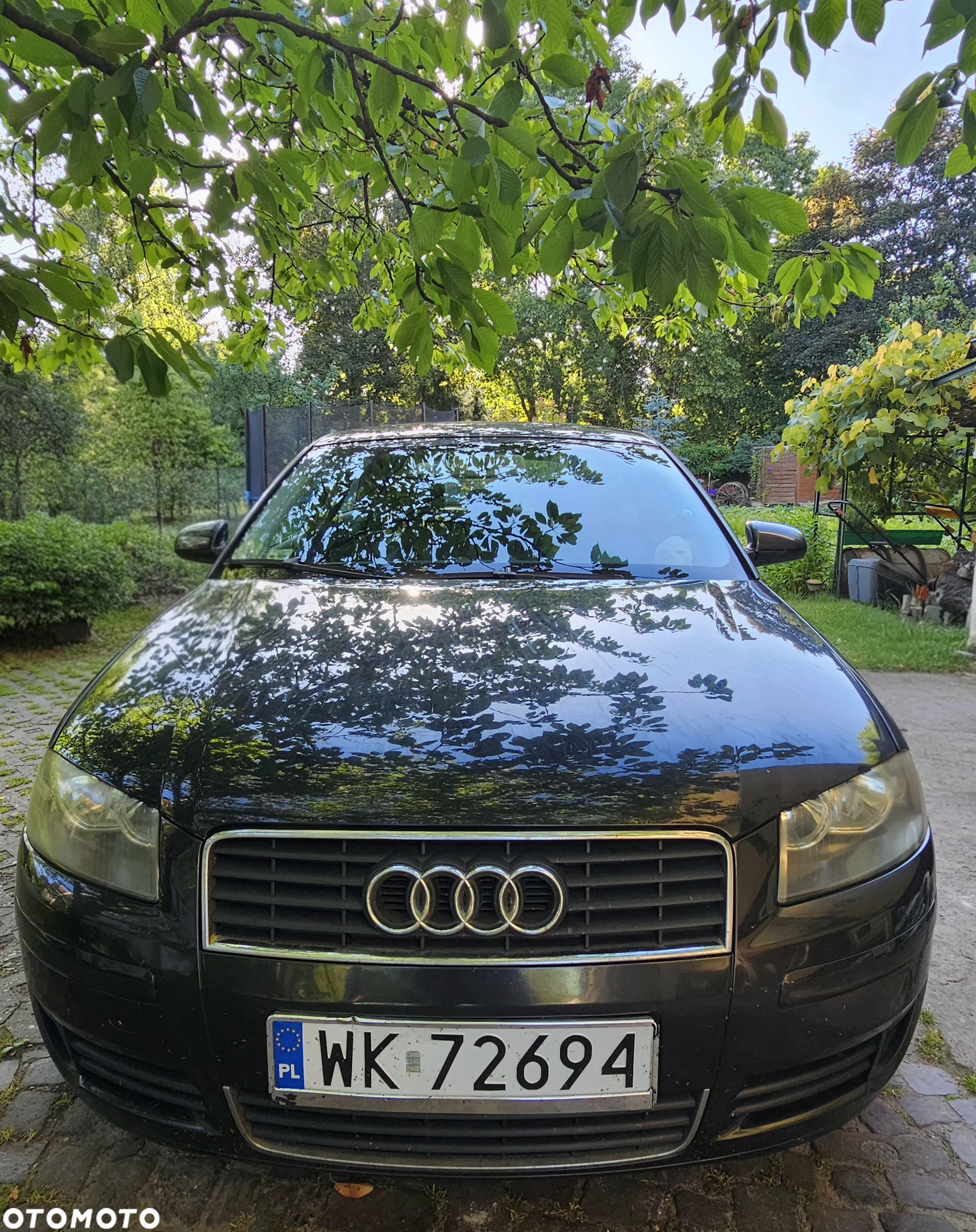 Audi A3 1.6 Ambiente - 3