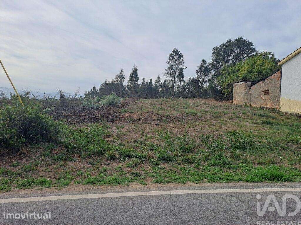 Terreno Agrícola em Poiares - Grande imagem: 4/6