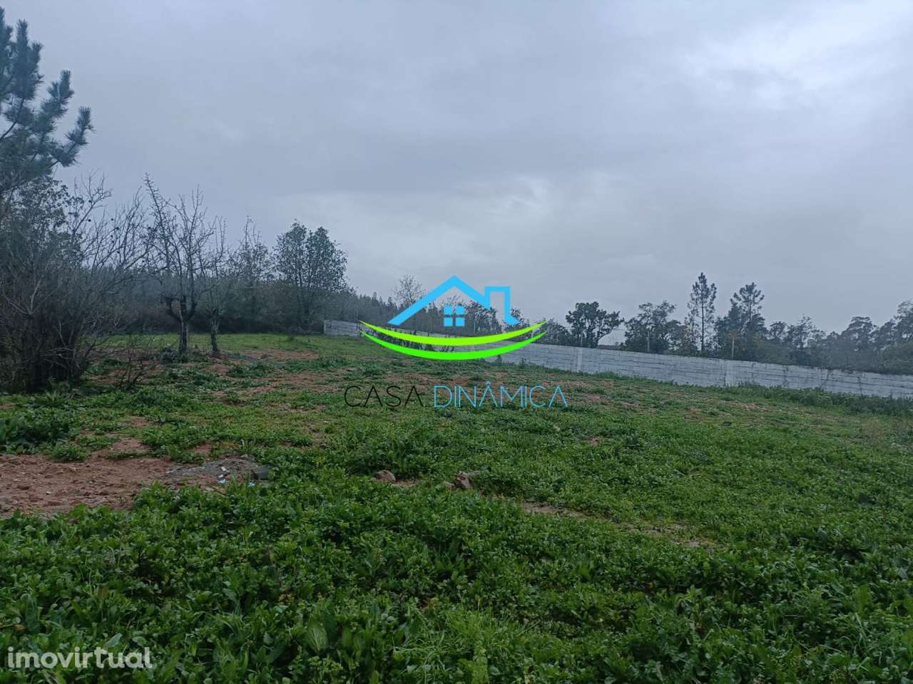 Terreno para Construção em Soure – Coimbra - Grande imagem: 4/13