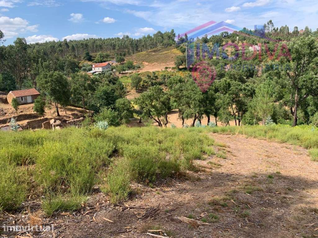 Propriedade com 3 hectares - Grande imagem: 3/36